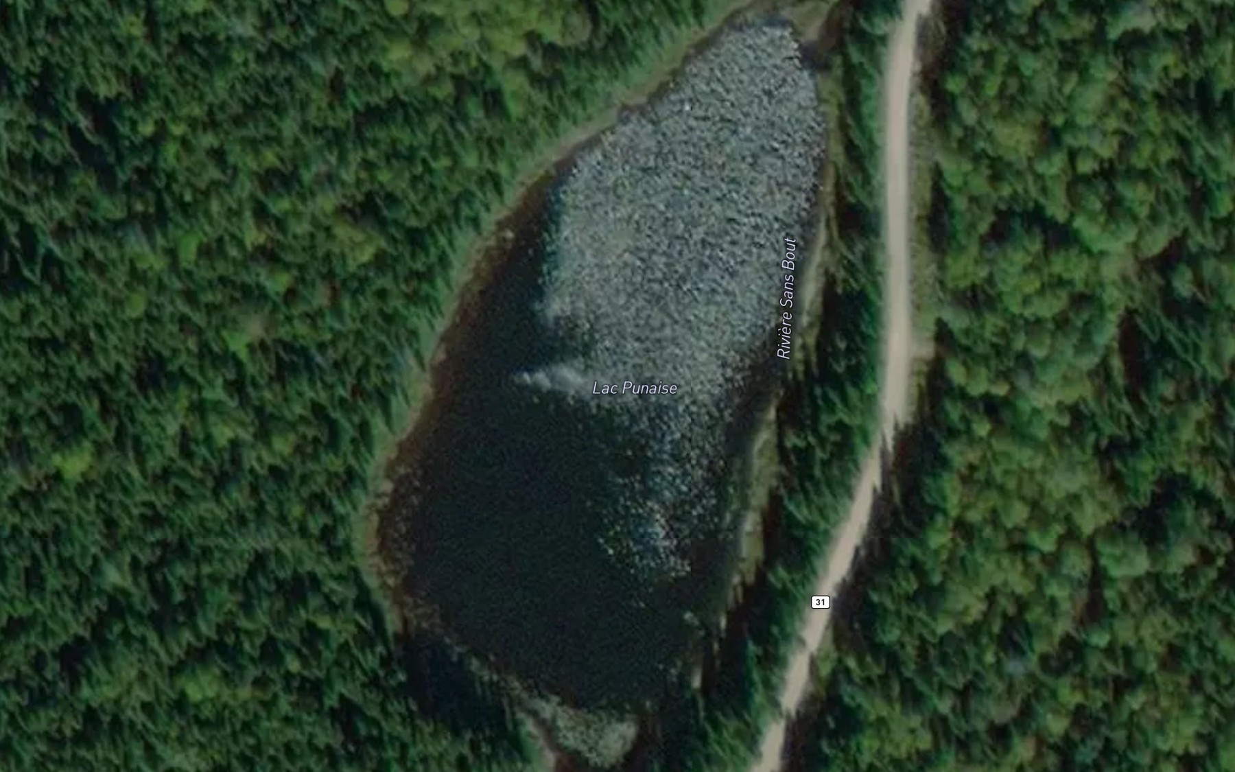 Satellite map of the Lac Punaise
