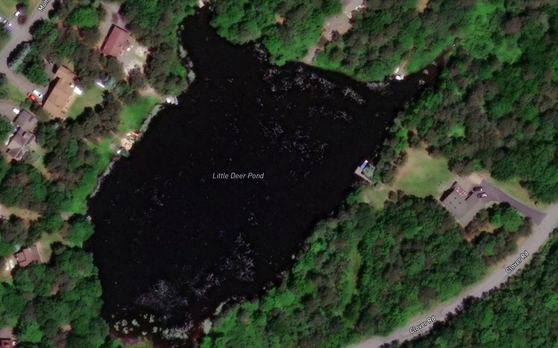 Satellite map of the Little Deer Pond