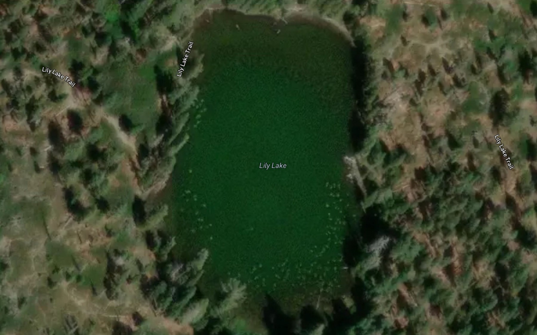 Satellite map of the Lily Lake