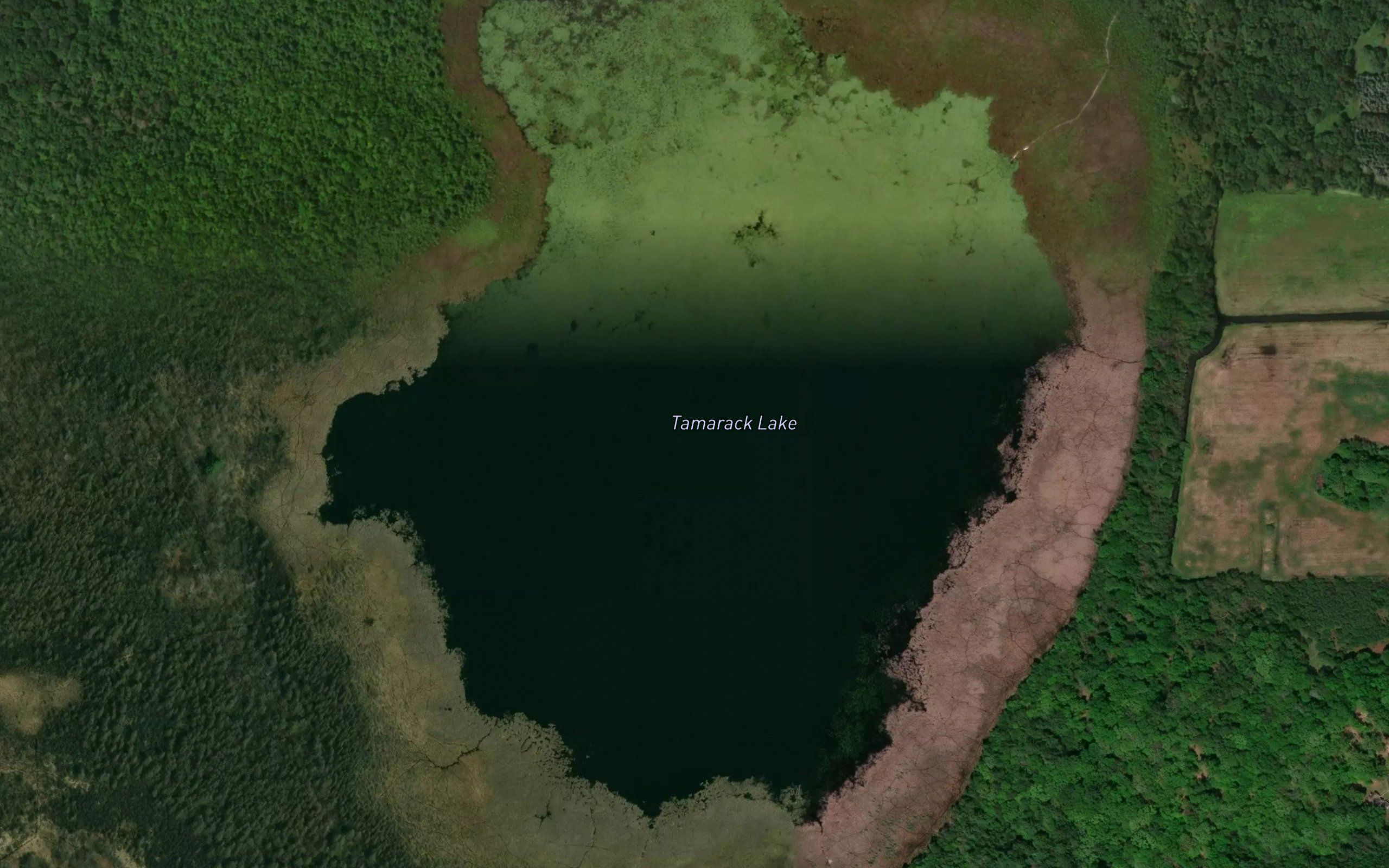 Tamarack Lake