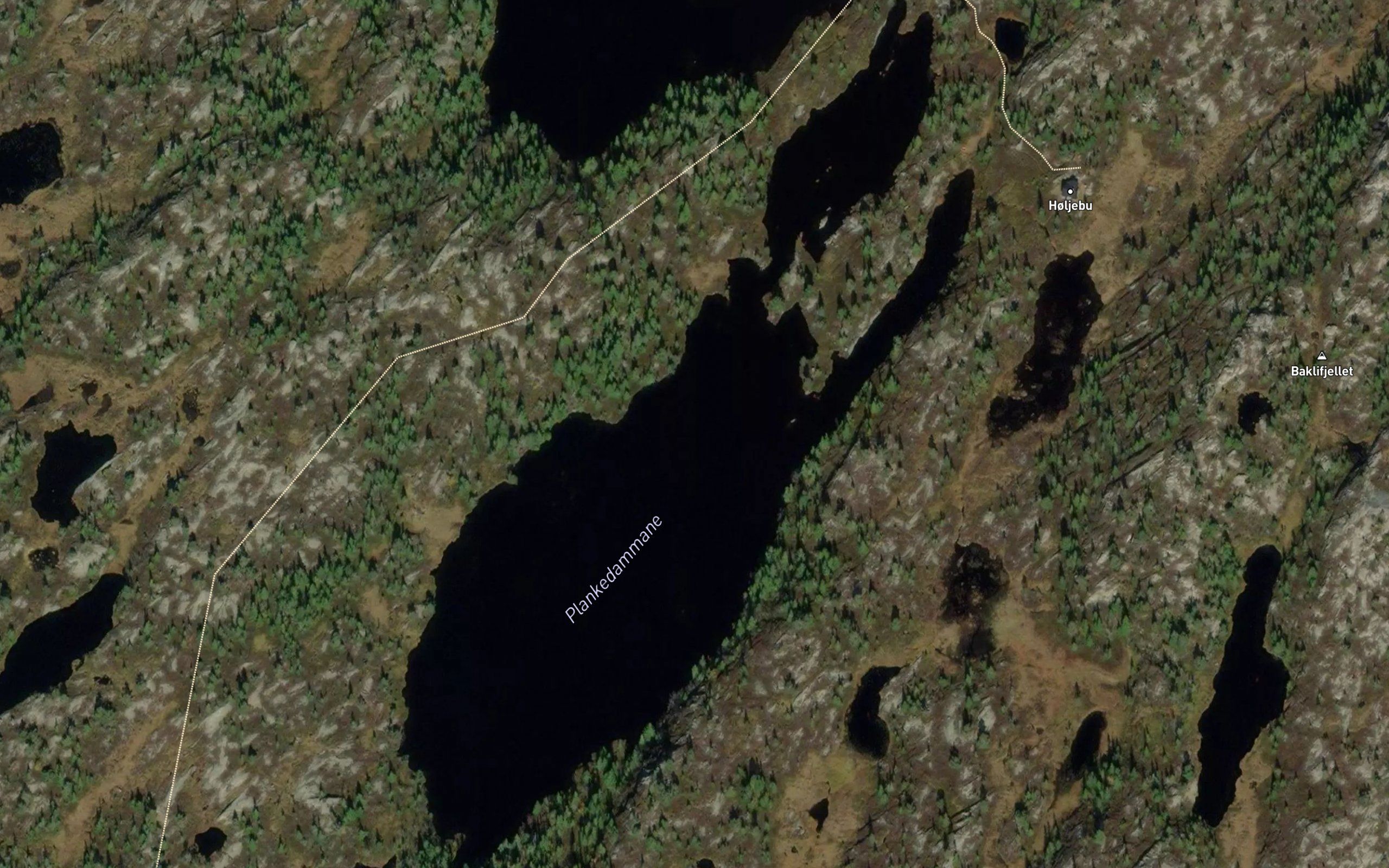 Plankedammane