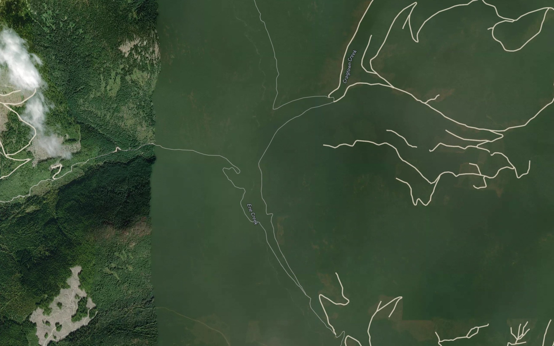 Satellite map of the Craigtown Creek