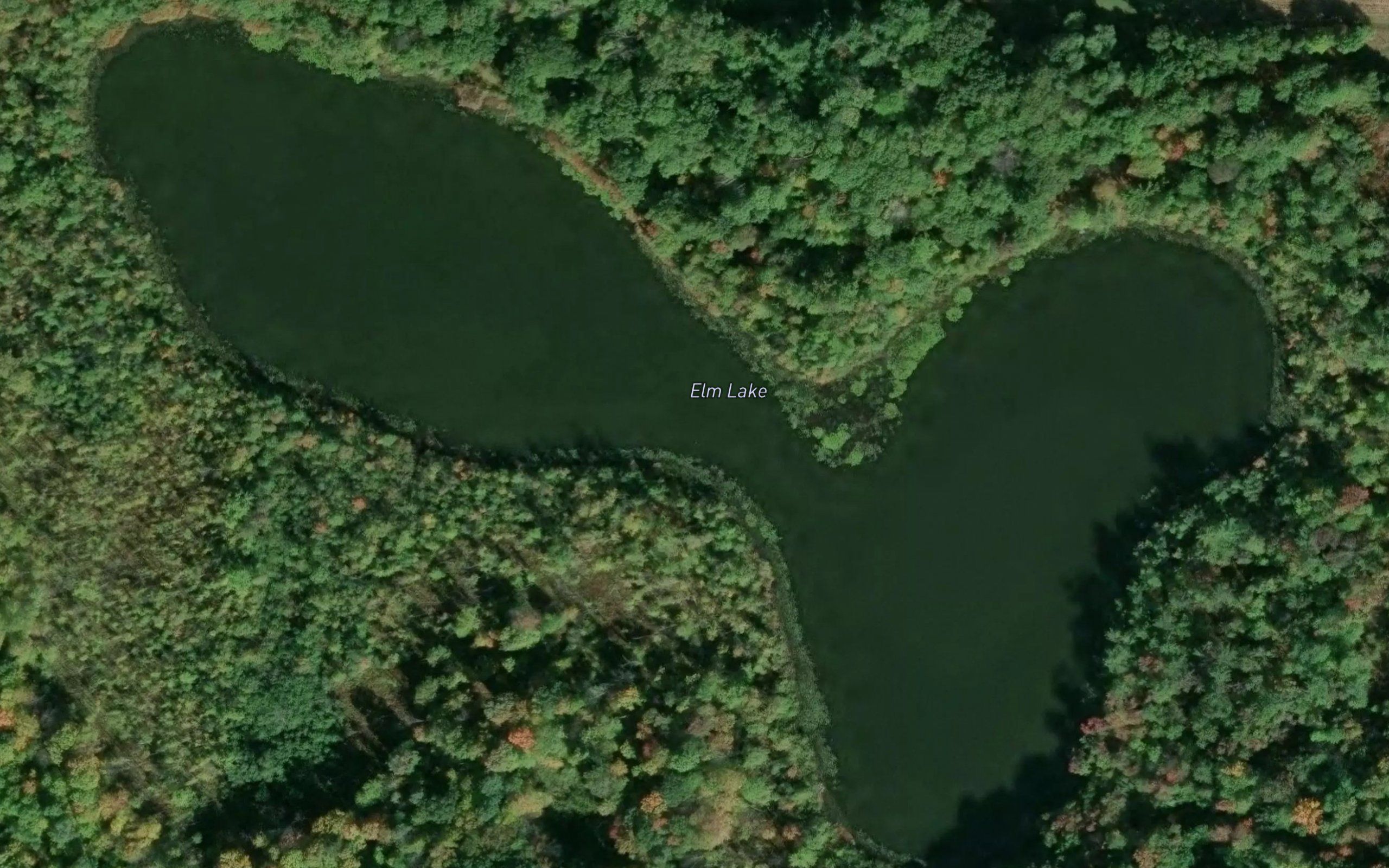 Elm Lake