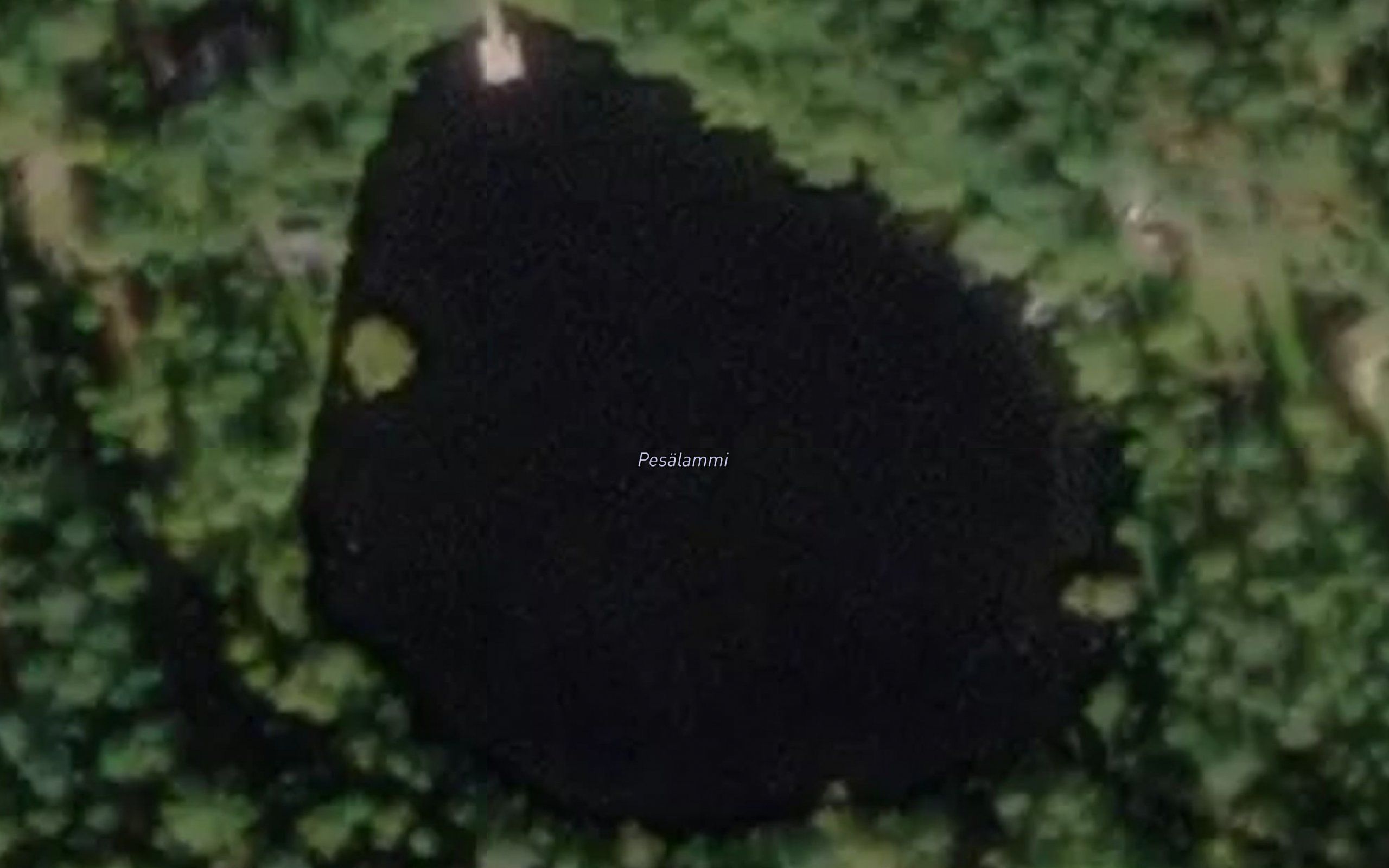 Pesalammi