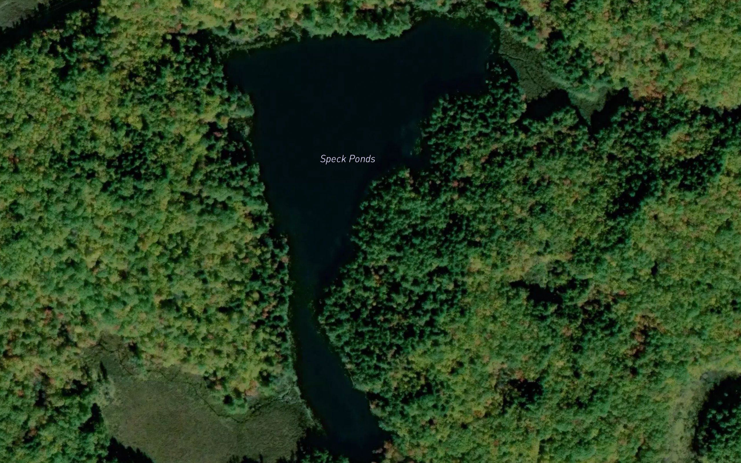 Speck Ponds