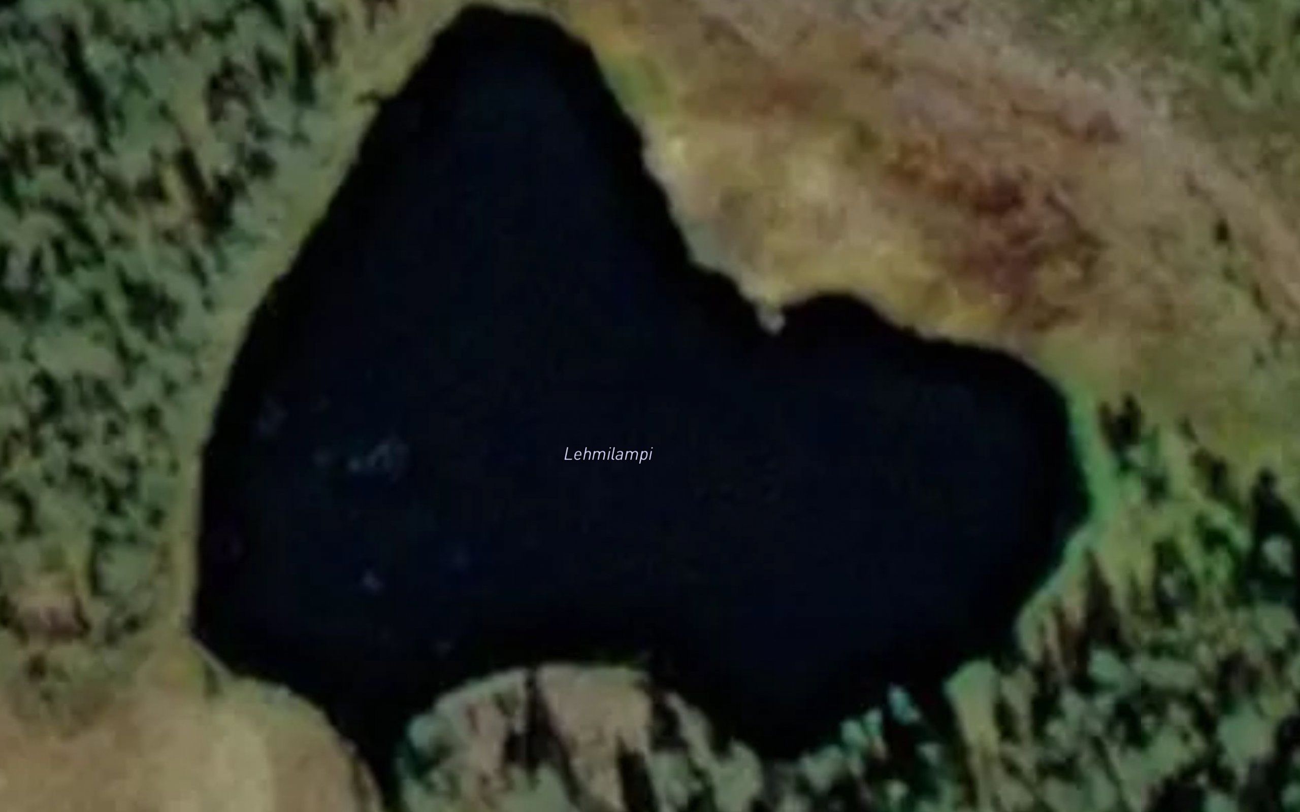 Lehmilampi