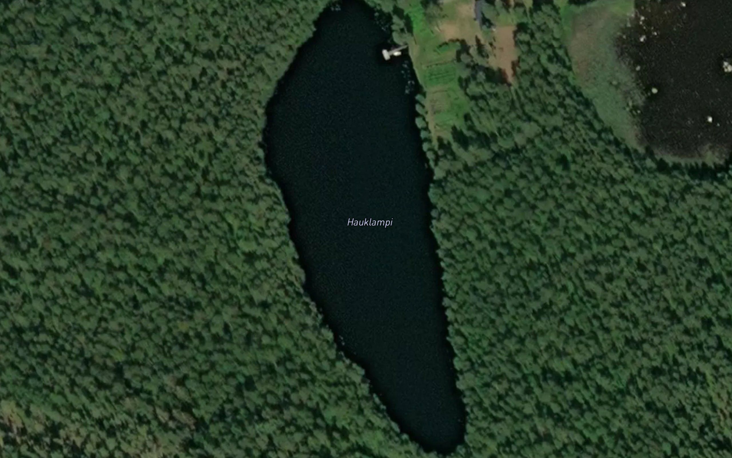 Hauklampi