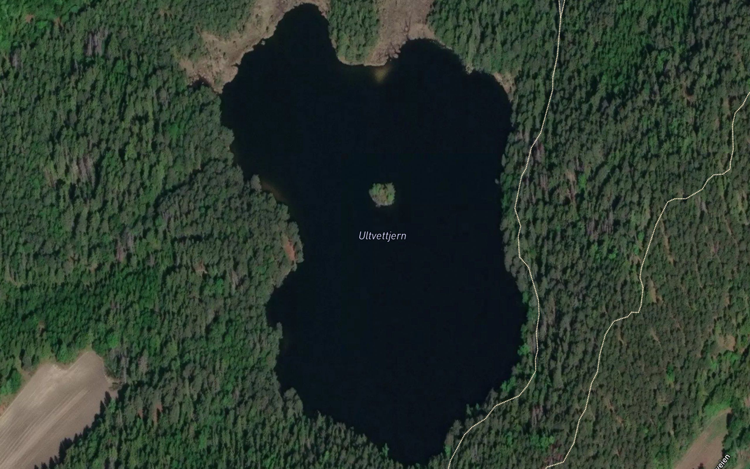 Ultveittjern