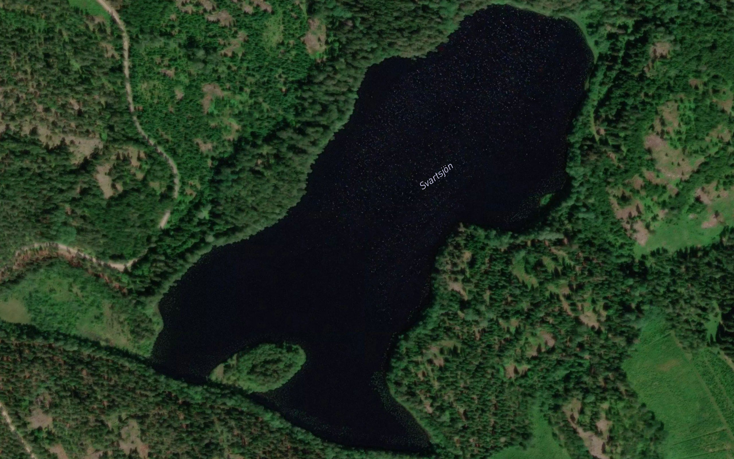 Mustajarvi