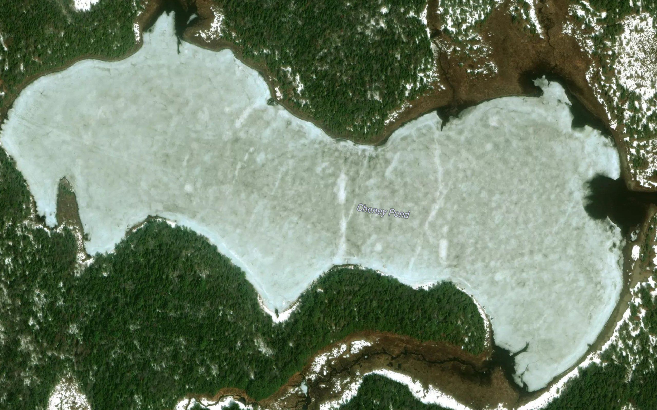 Cheney Pond