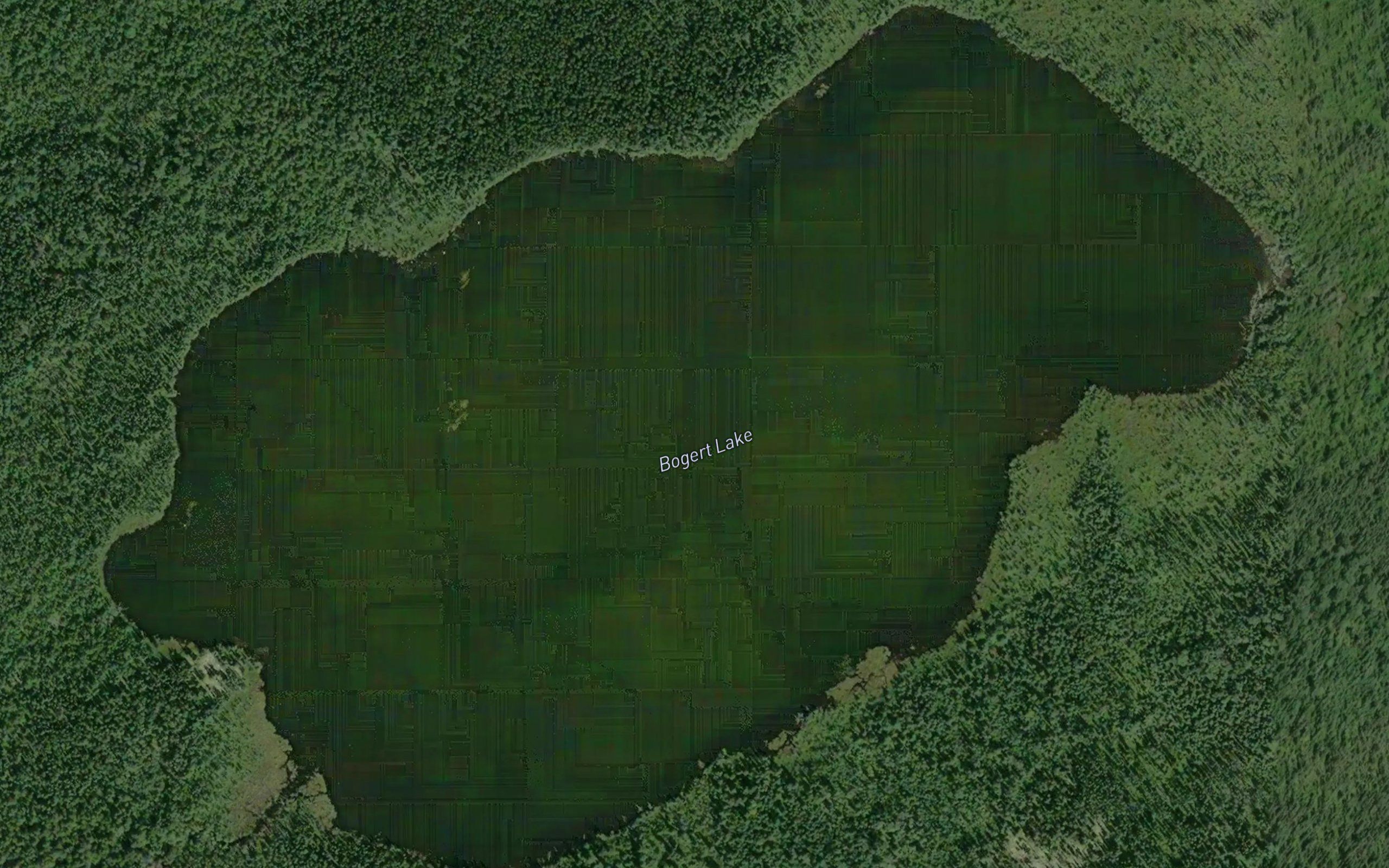 Bogert Lake
