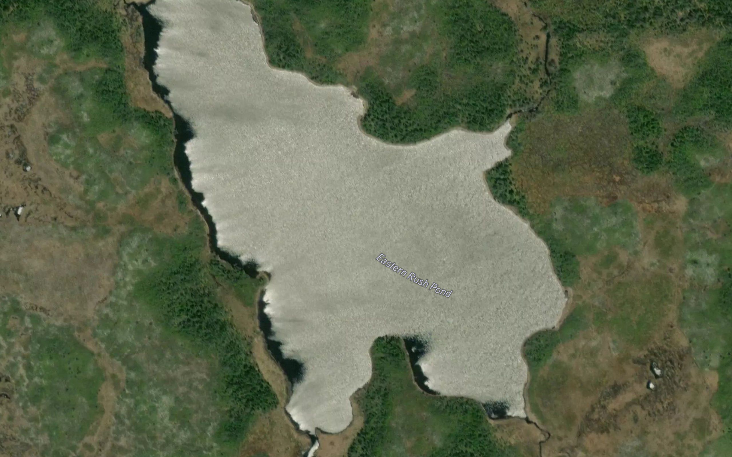 Eastern Rush Pond