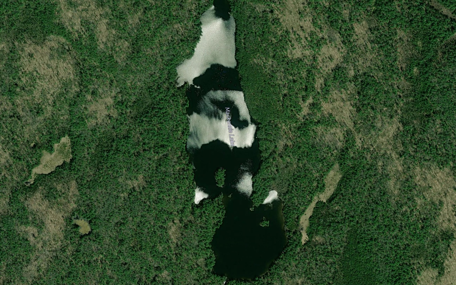Satellite map of the Mackenzie Lake