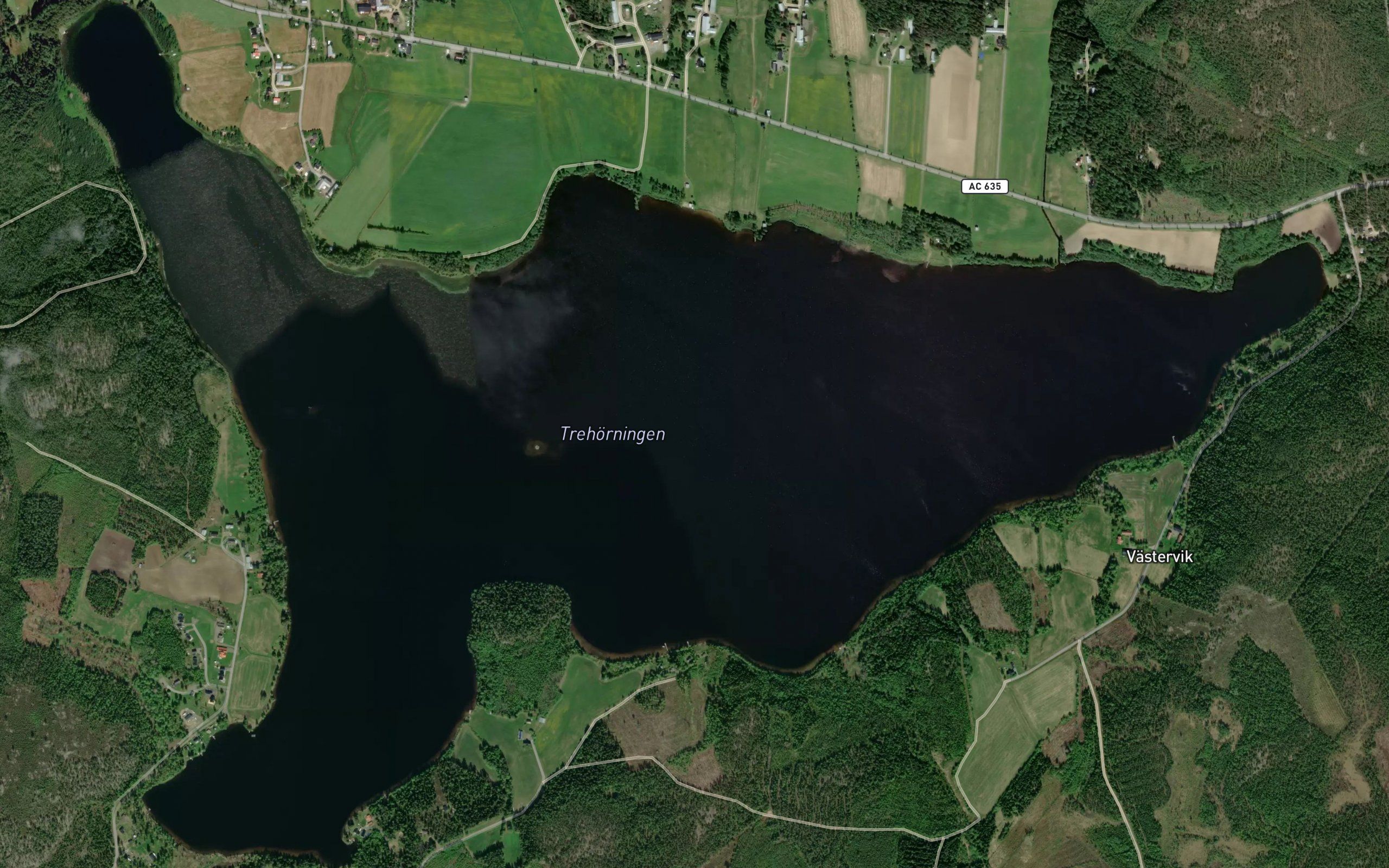 Trehoerningen