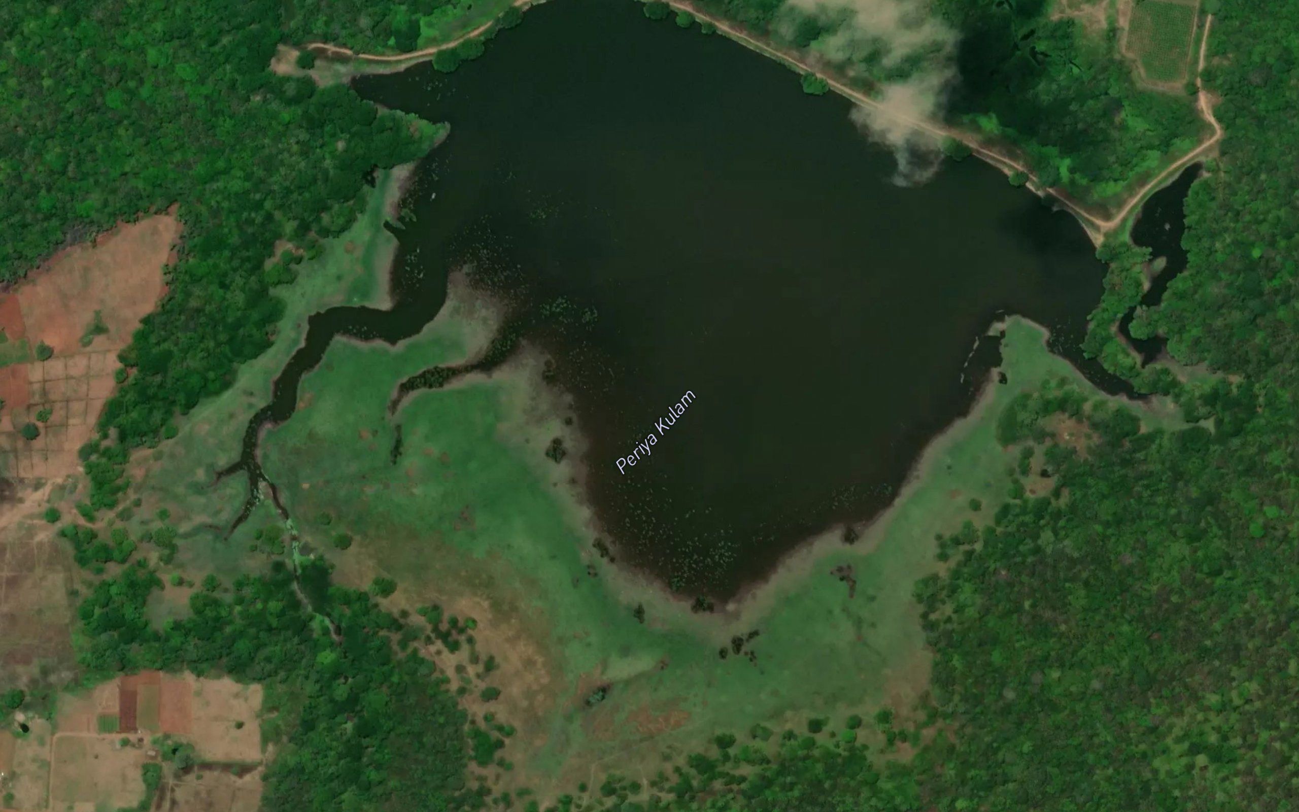 Periya Kulam