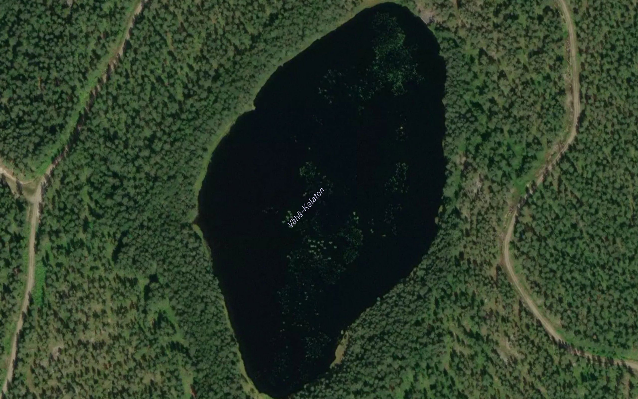 Vaha-Kalaton