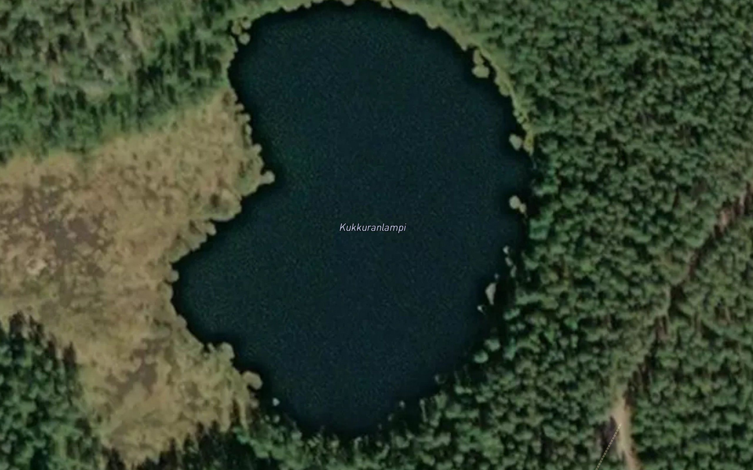 Kukkuranlampi