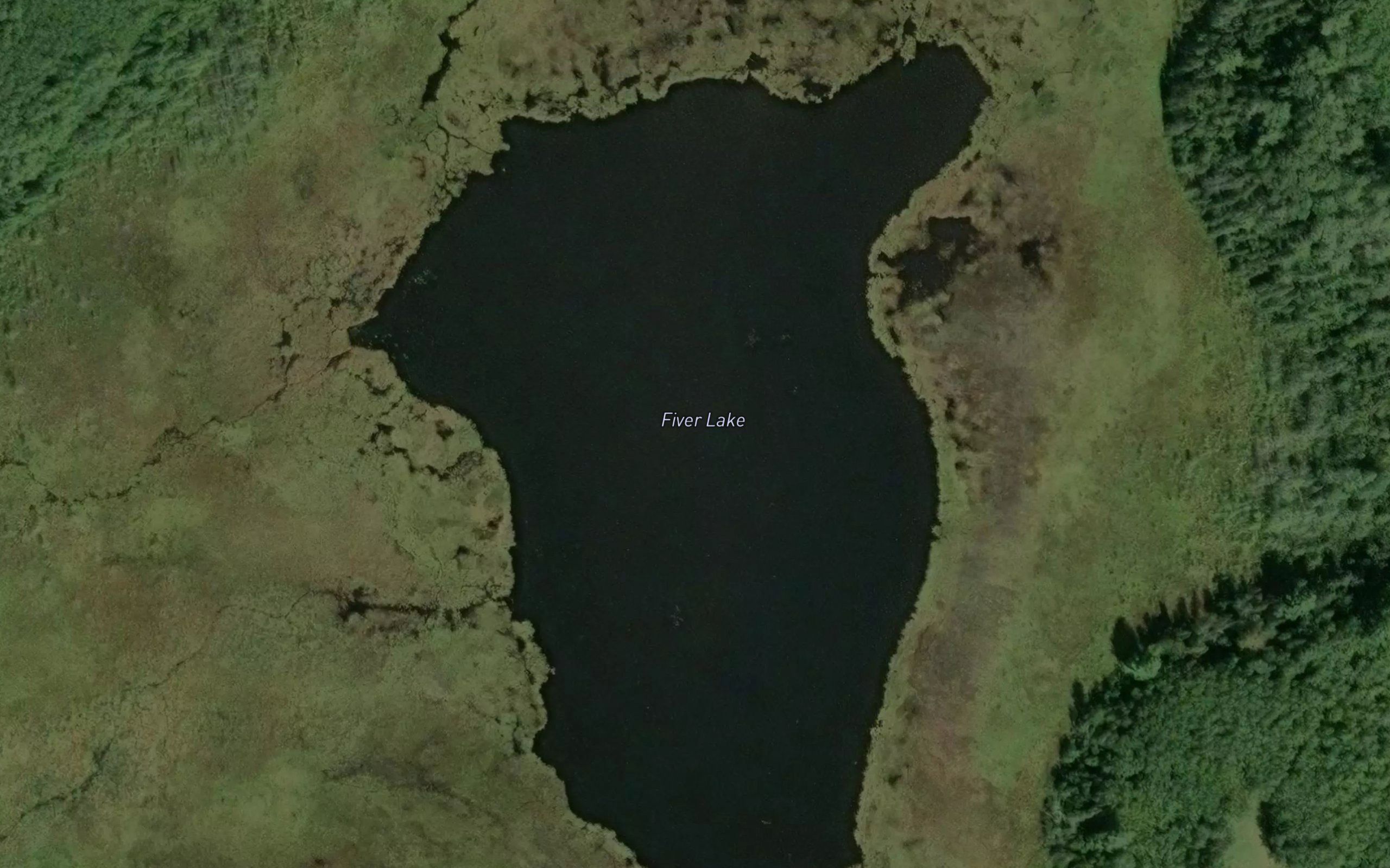Fiver Lake