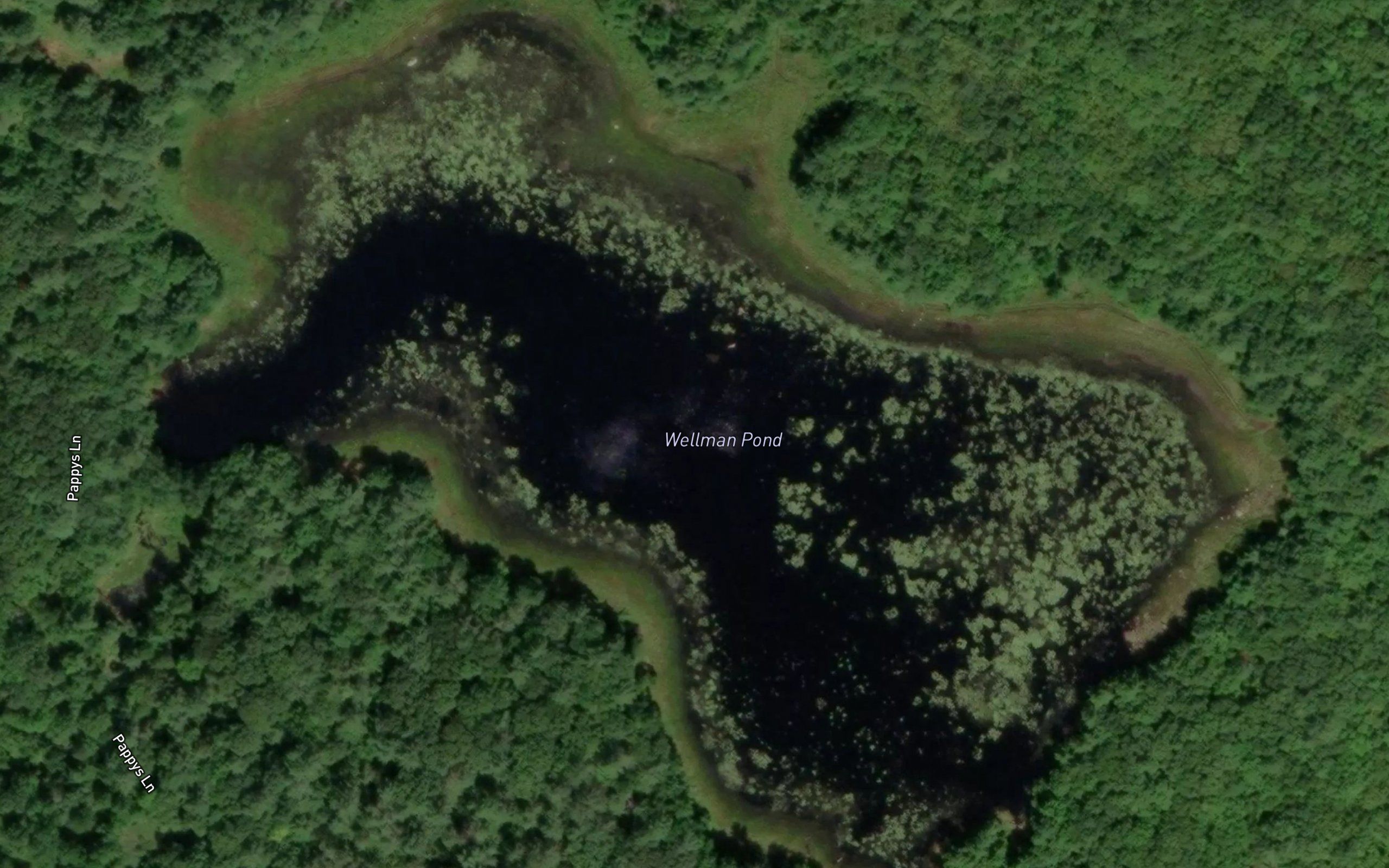 Wellman Pond