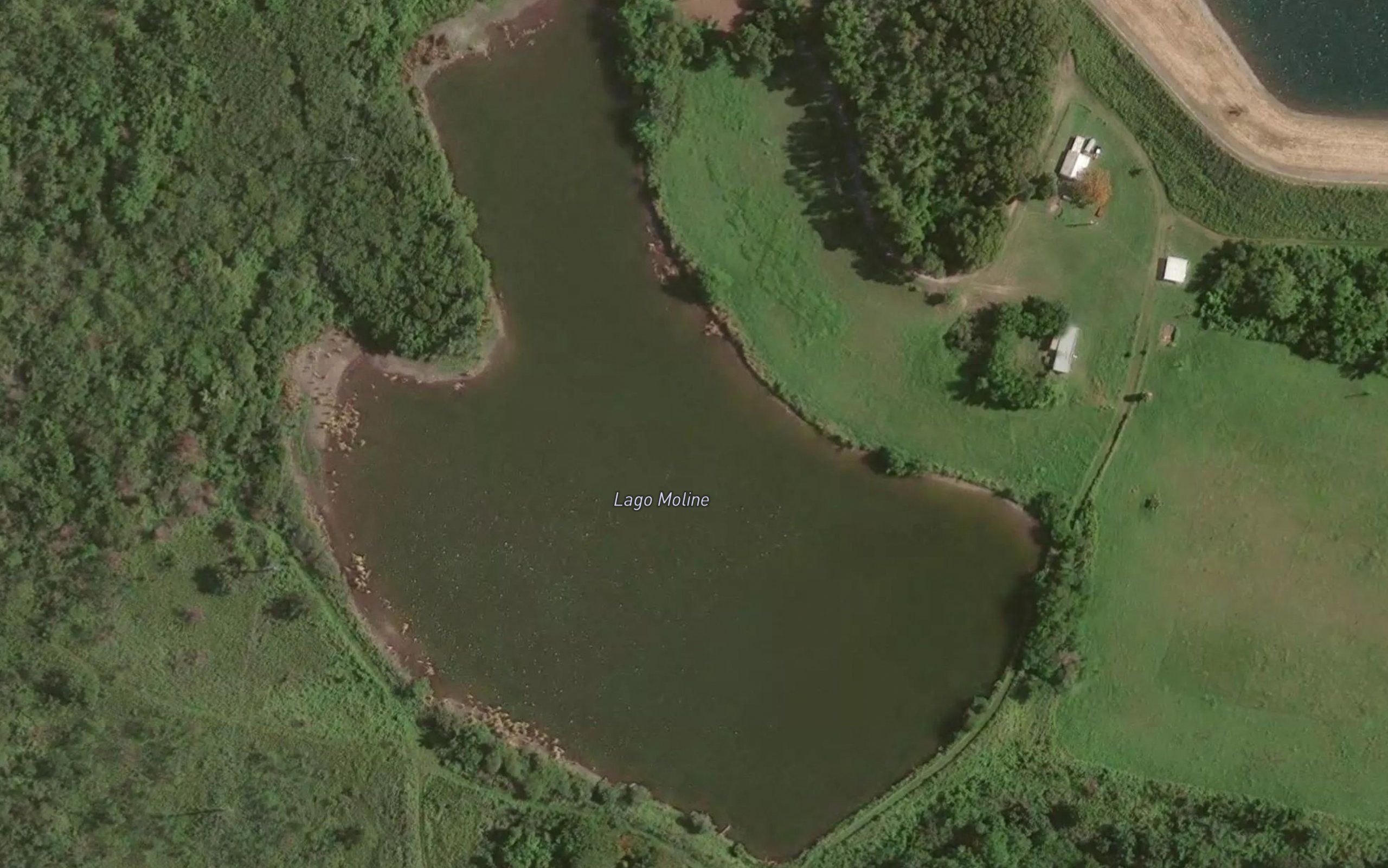 Lago Moline