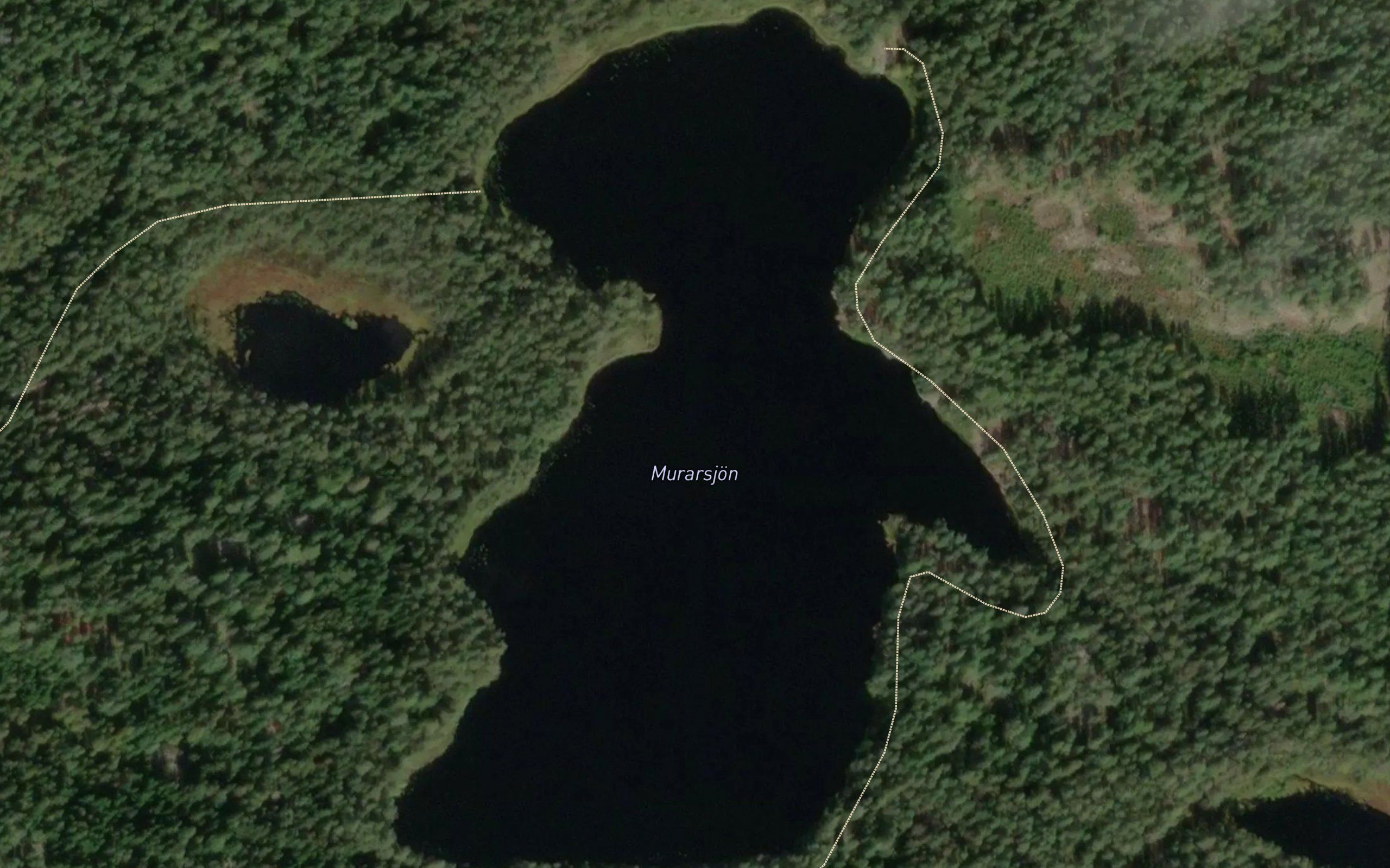Muurajarvi