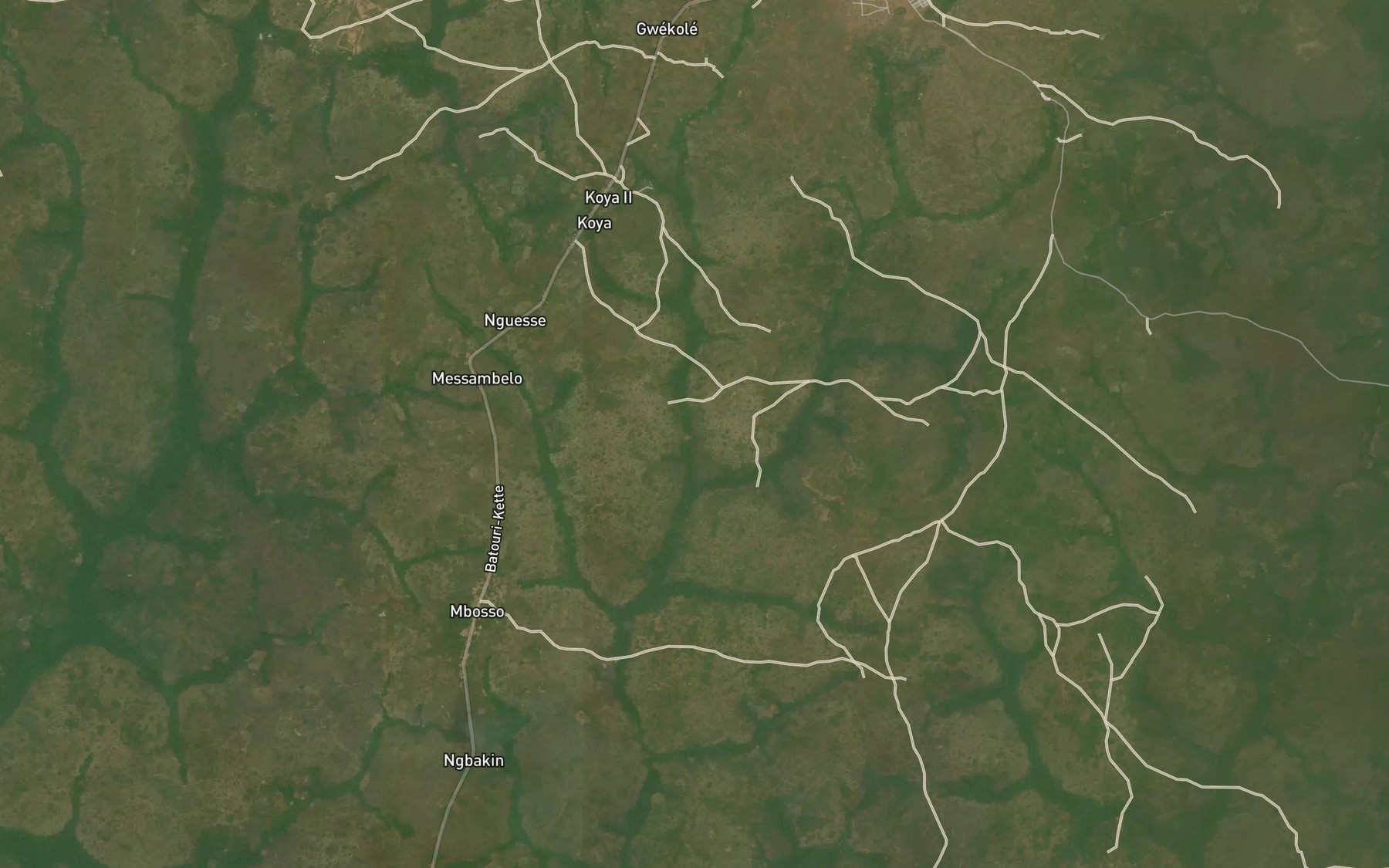 Satellite map of the Ndoung Nkwele