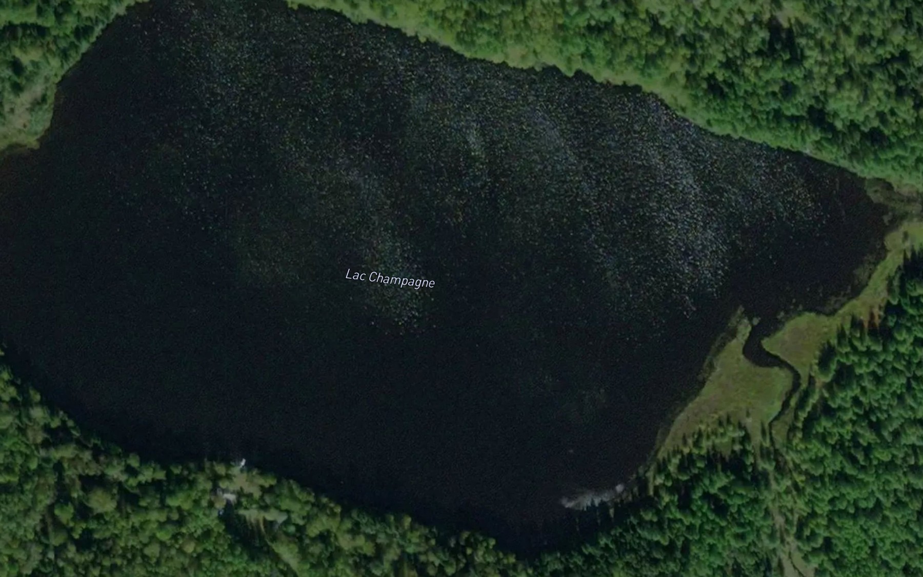 Satellite map of the Lac Champagne