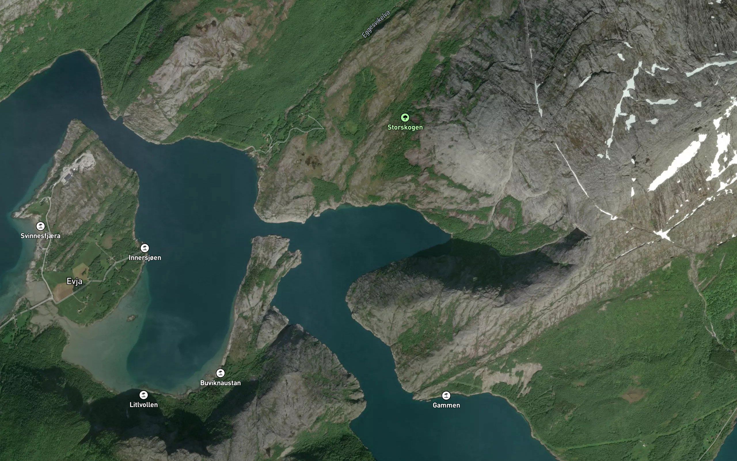 Eitervika