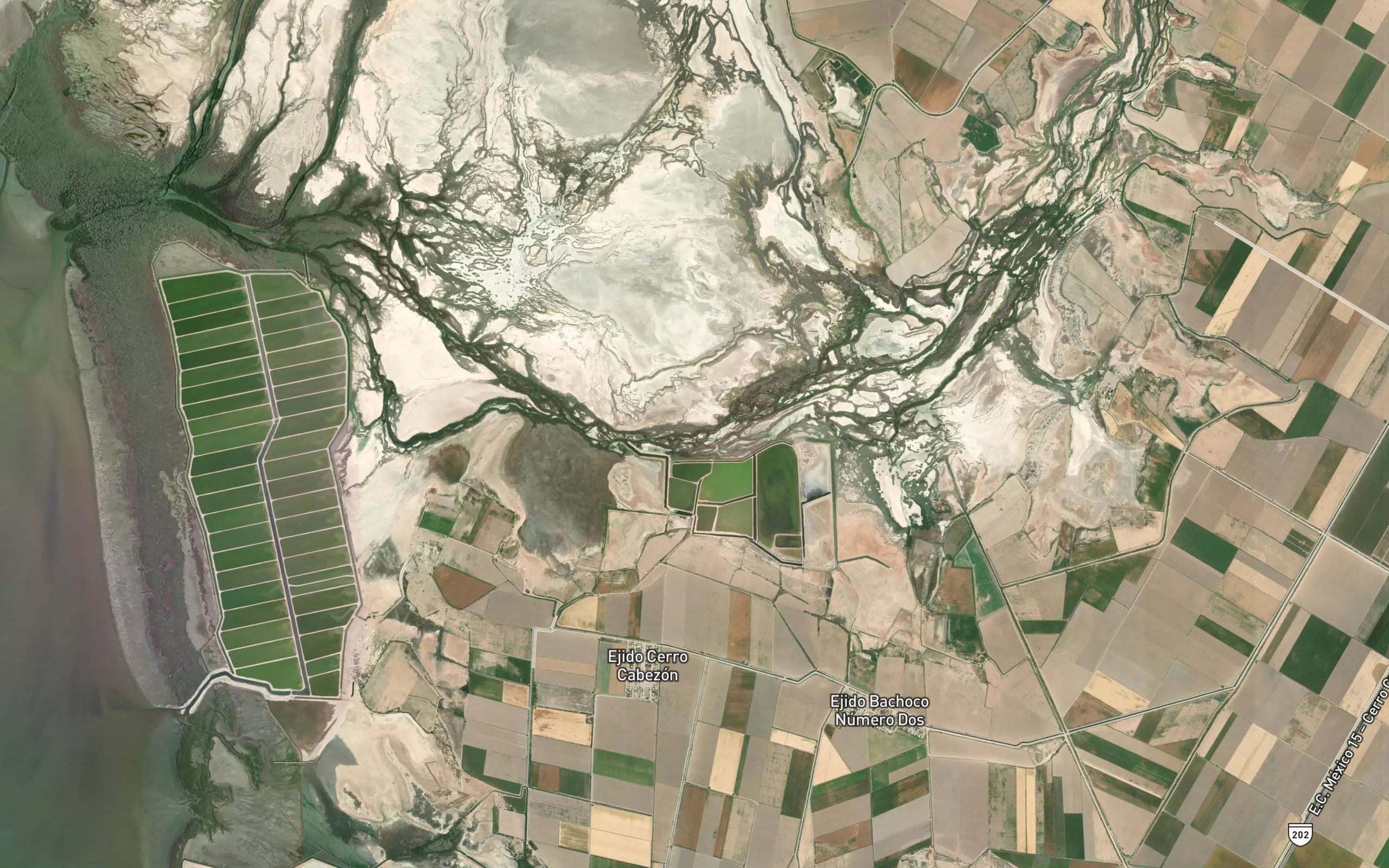 Estero la Presa