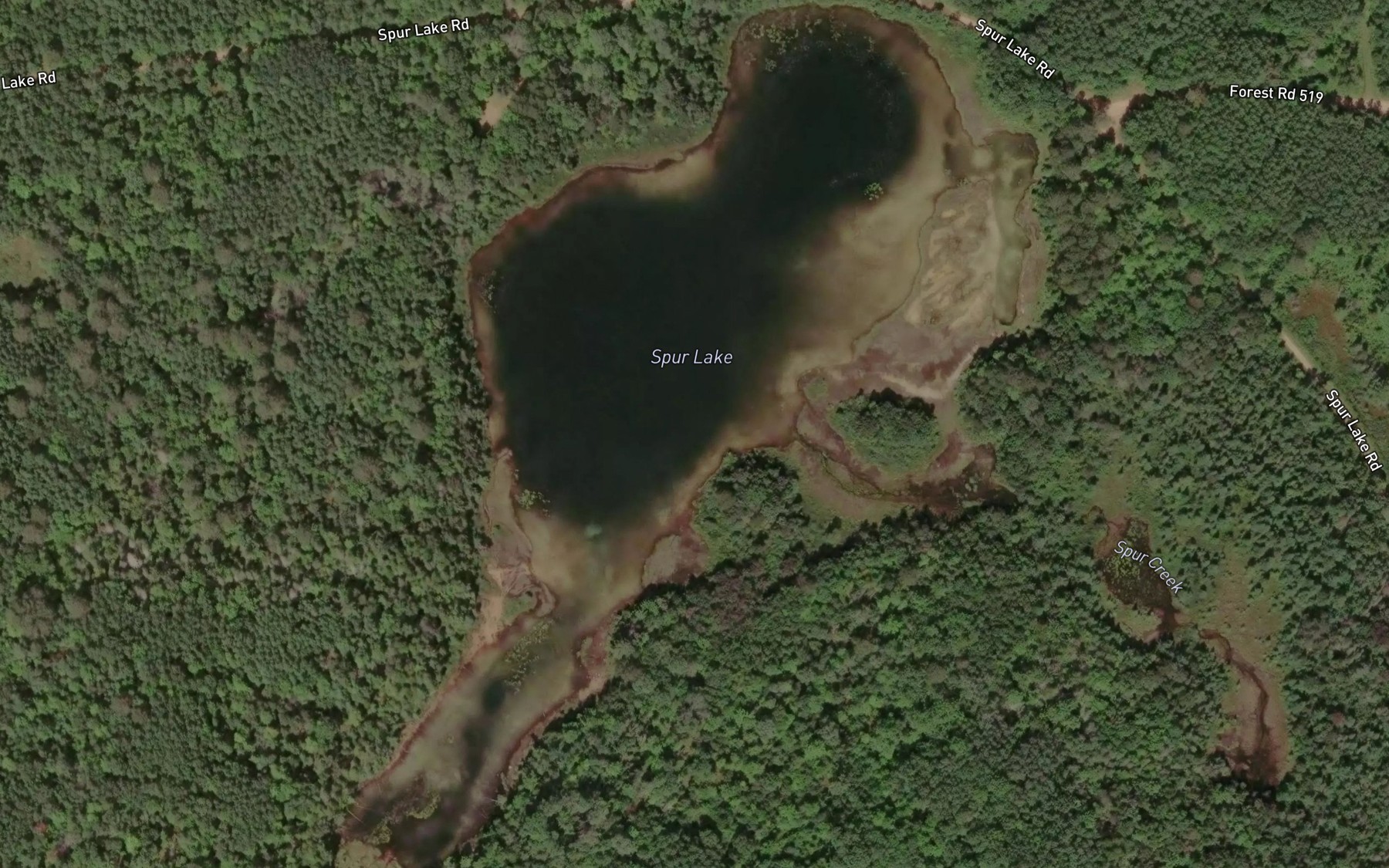 Satellite map of the Spur Lake