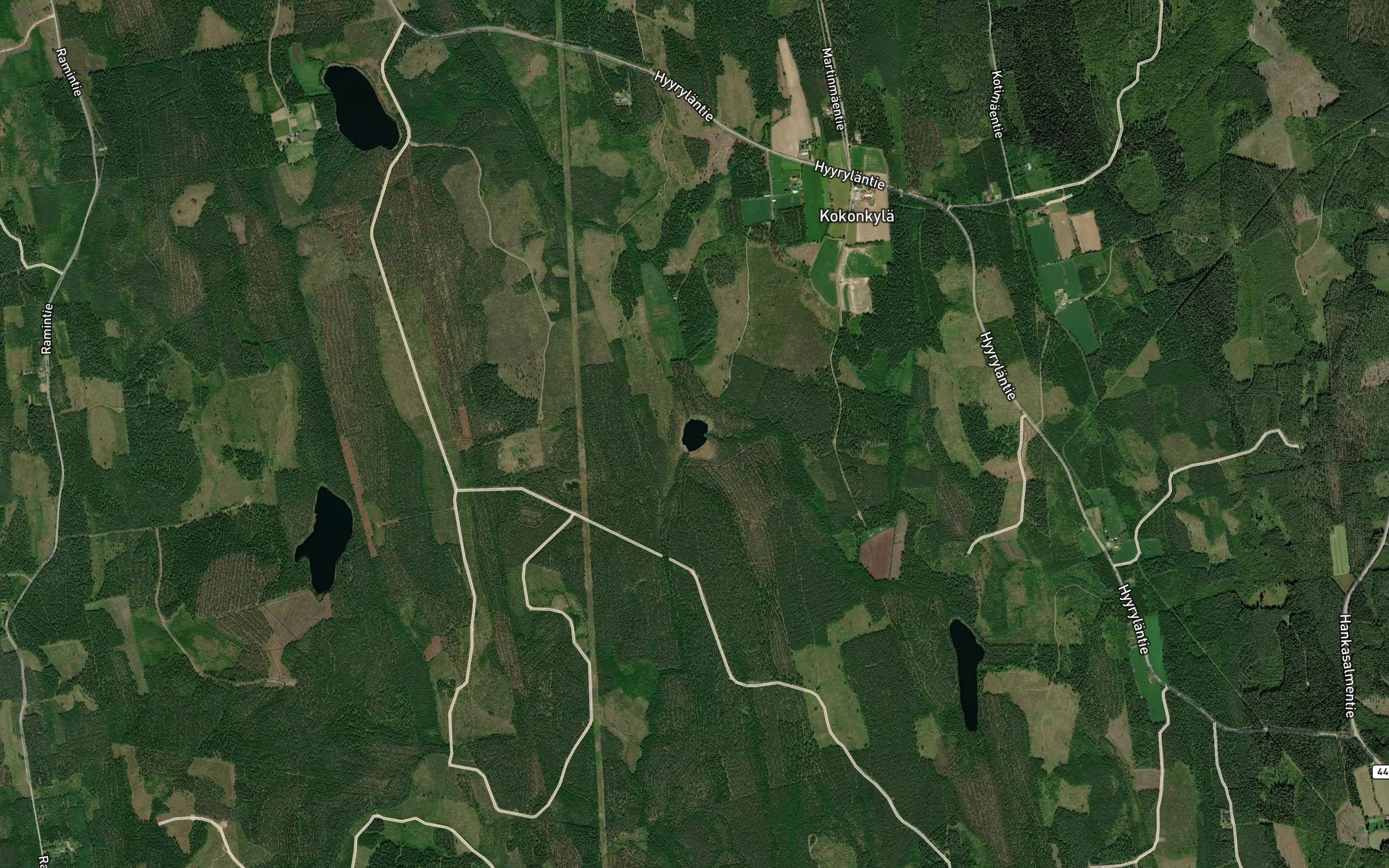 Tuomikonlampi
