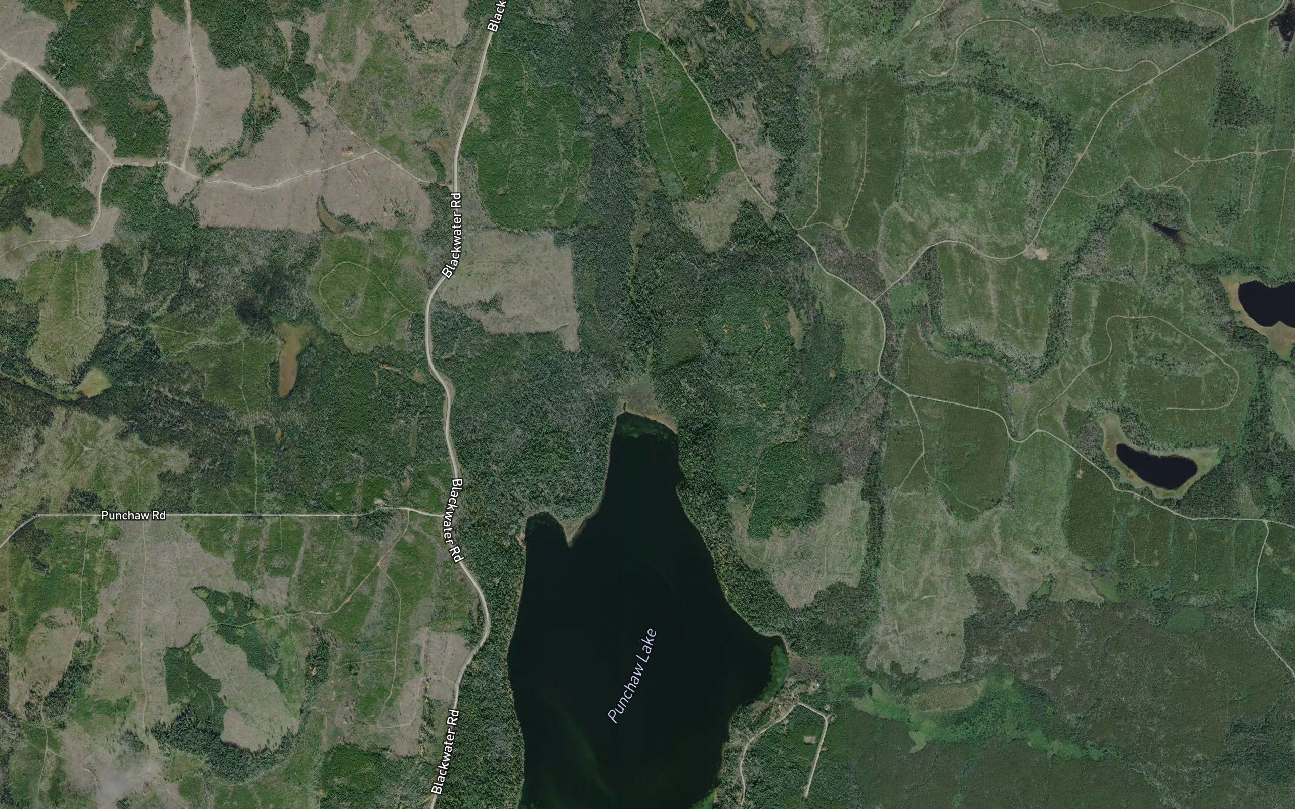 Bonnalie Creek