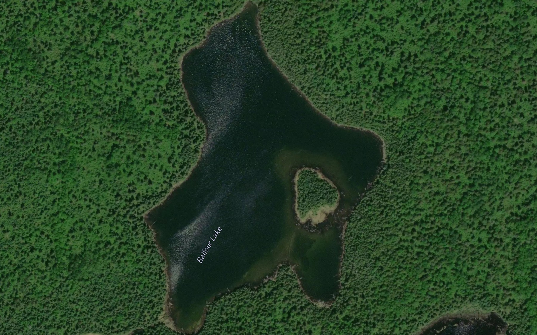Satellite map of the Balfour Lake