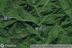 Yamagoe Sawa