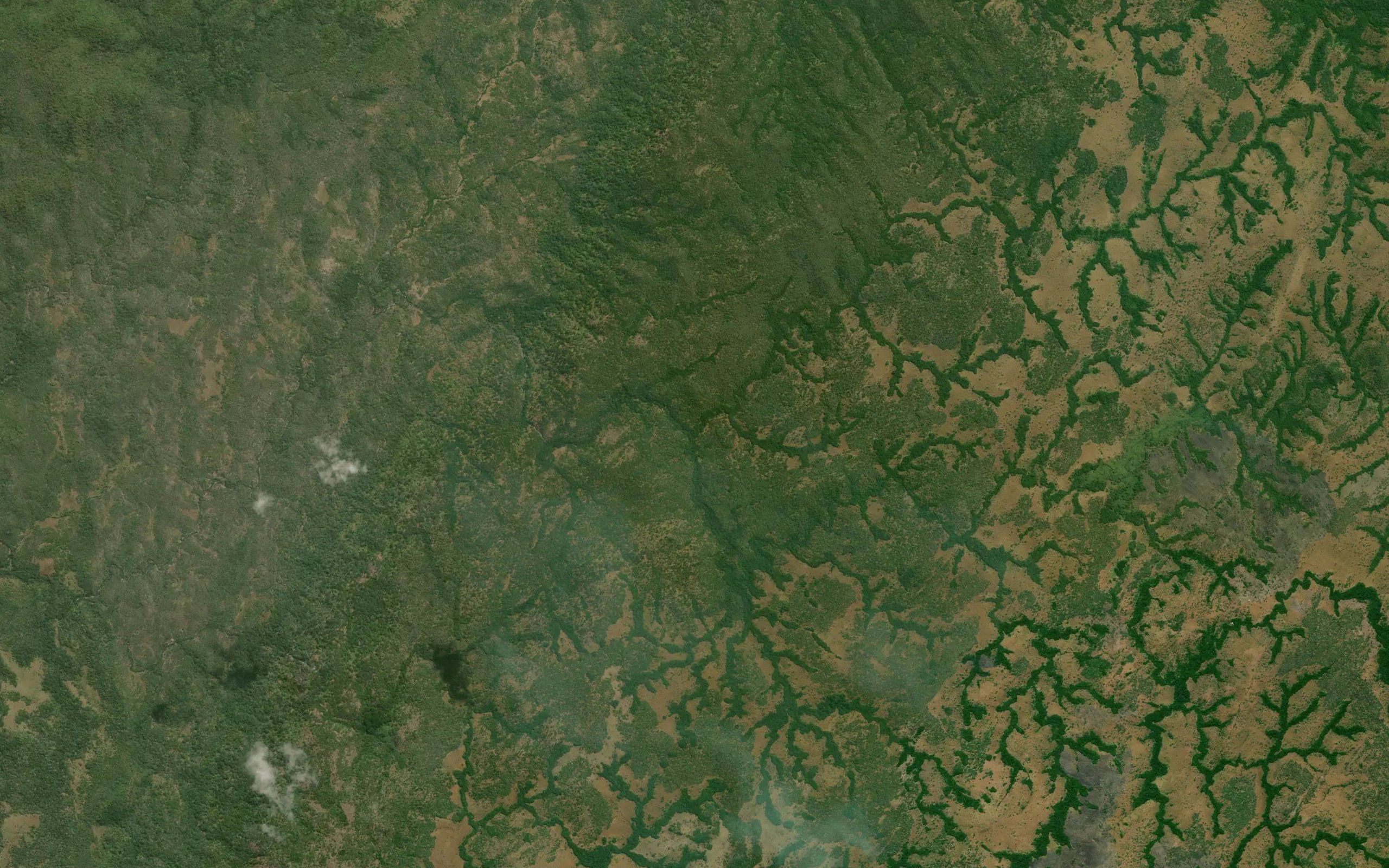 Kakunkwe