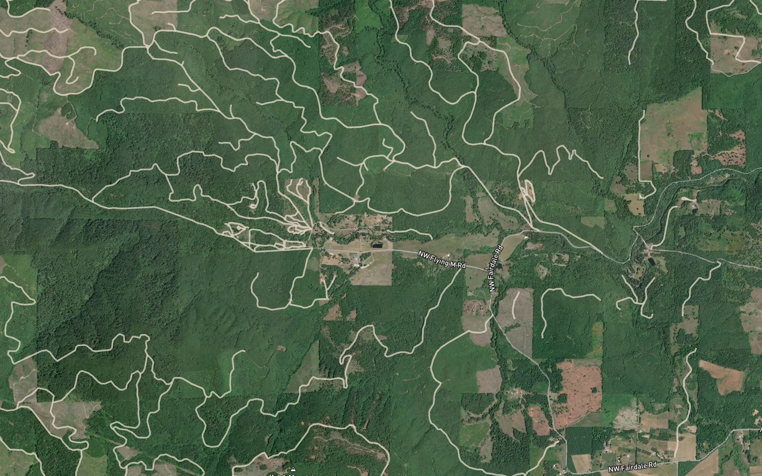Petch Creek