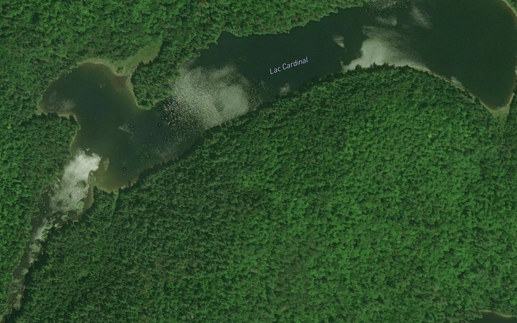 Satellite map of the Lac Cardinal