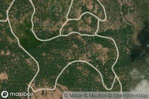 Satellite map of the Yellow Jacket Spring