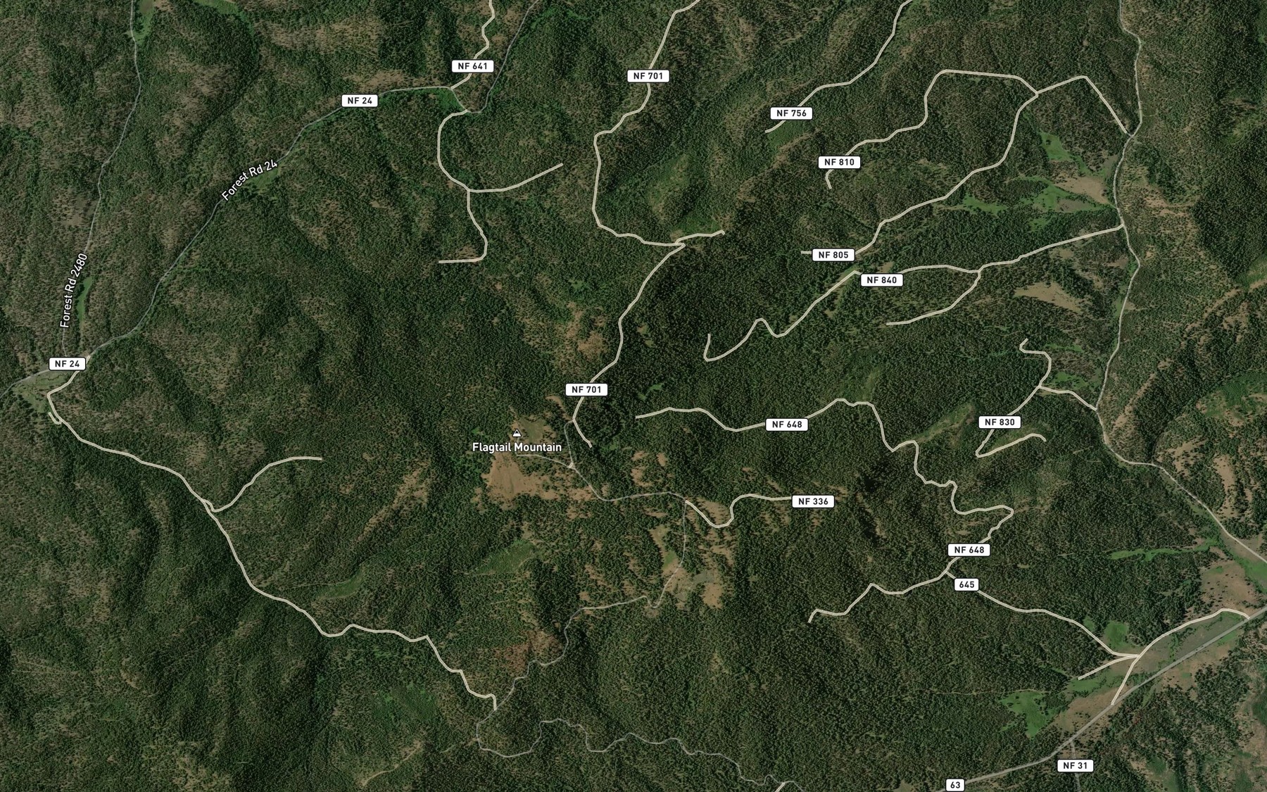 Satellite map of the Elliot Spring