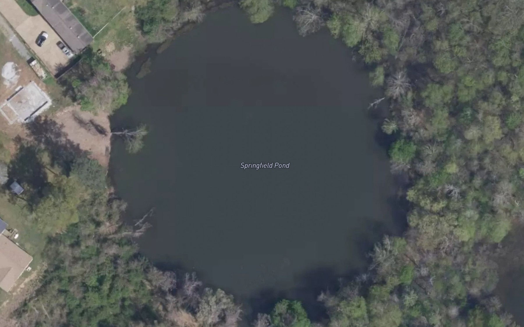 Satellite map of the Springfield Pond