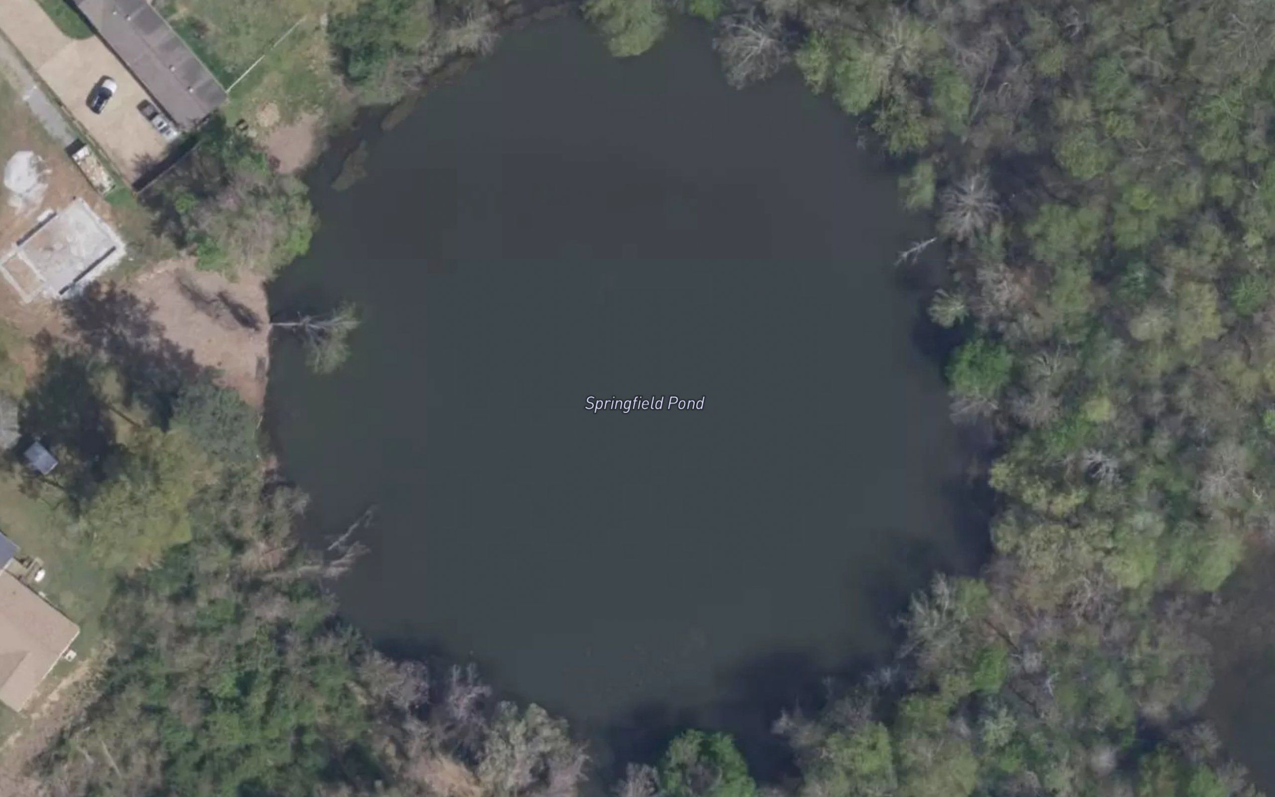 Springfield Pond