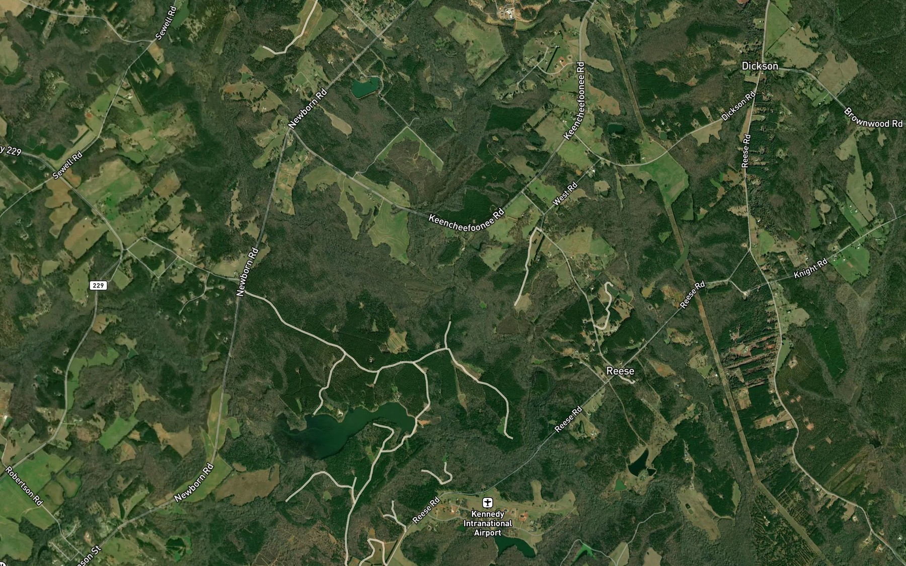 Satellite map of the Hunnicut Creek