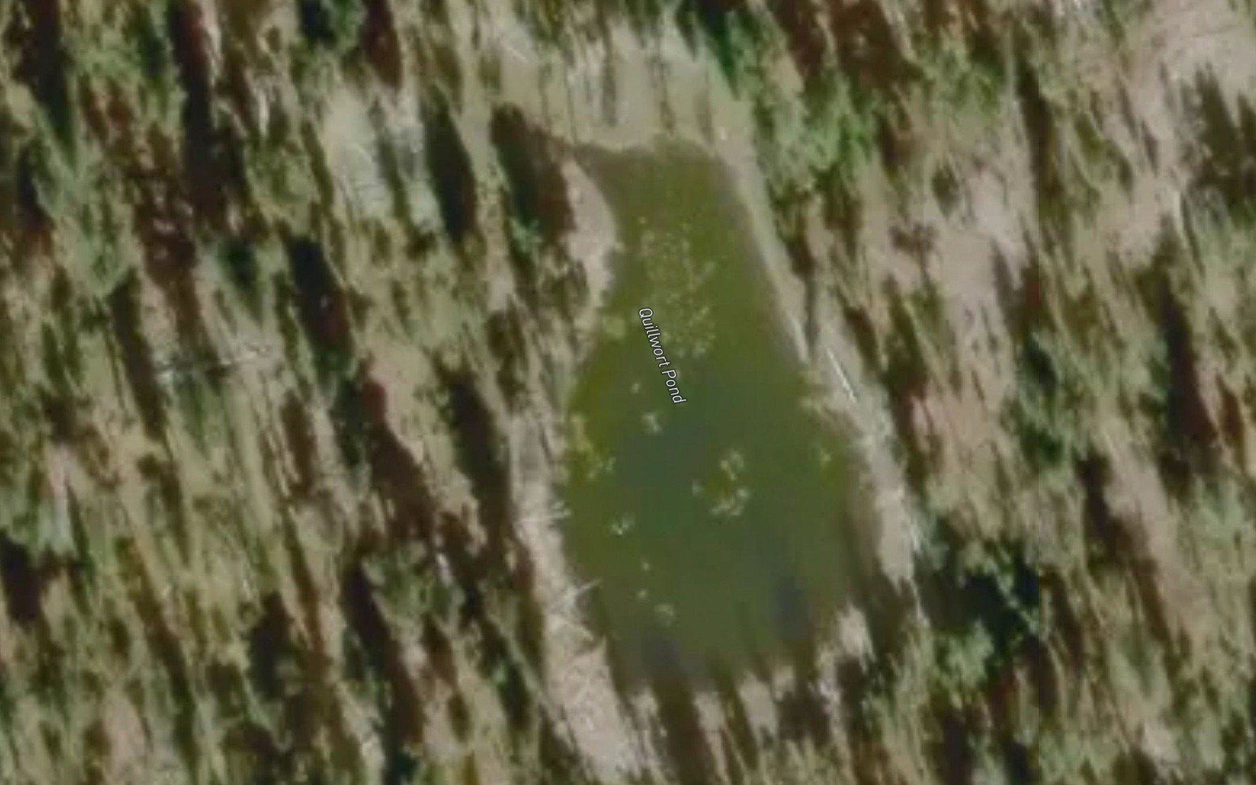Satellite map of the Quillwort Pond