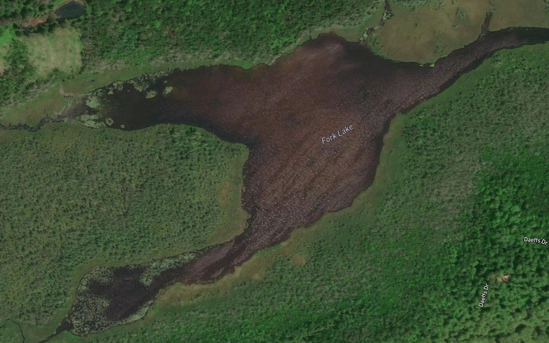 Satellite map of the Fork Lake