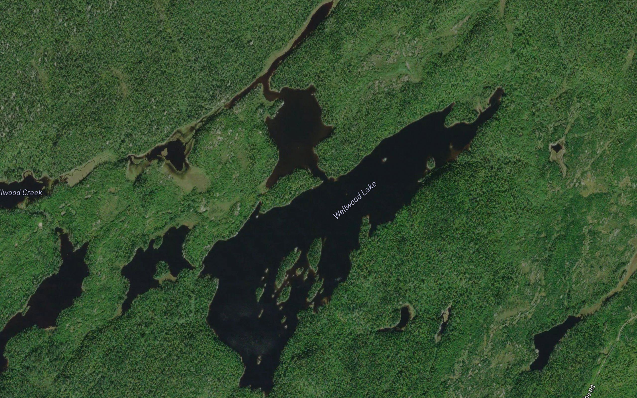 Wellwood Lake