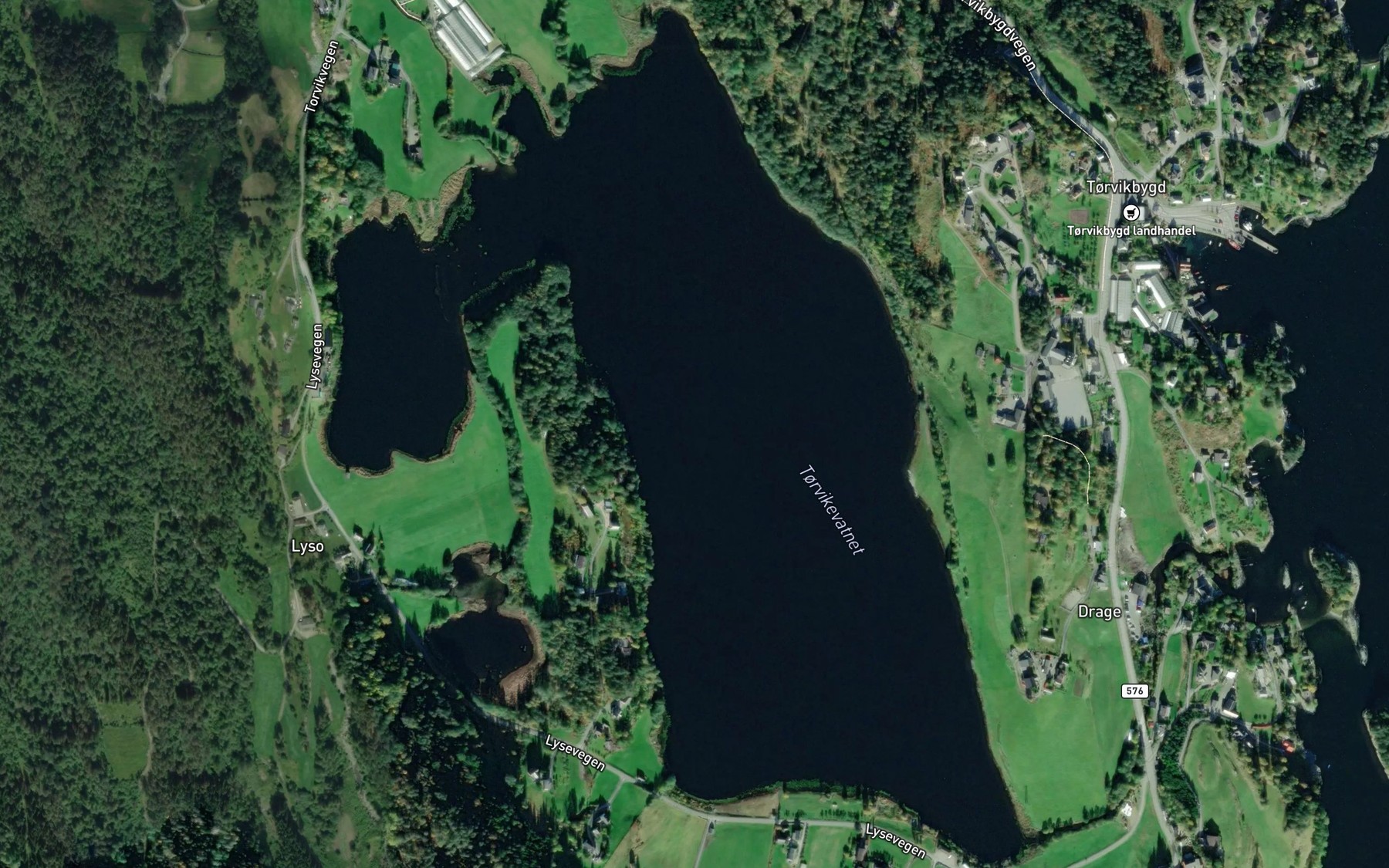 Satellite map of the Torvikvatnet