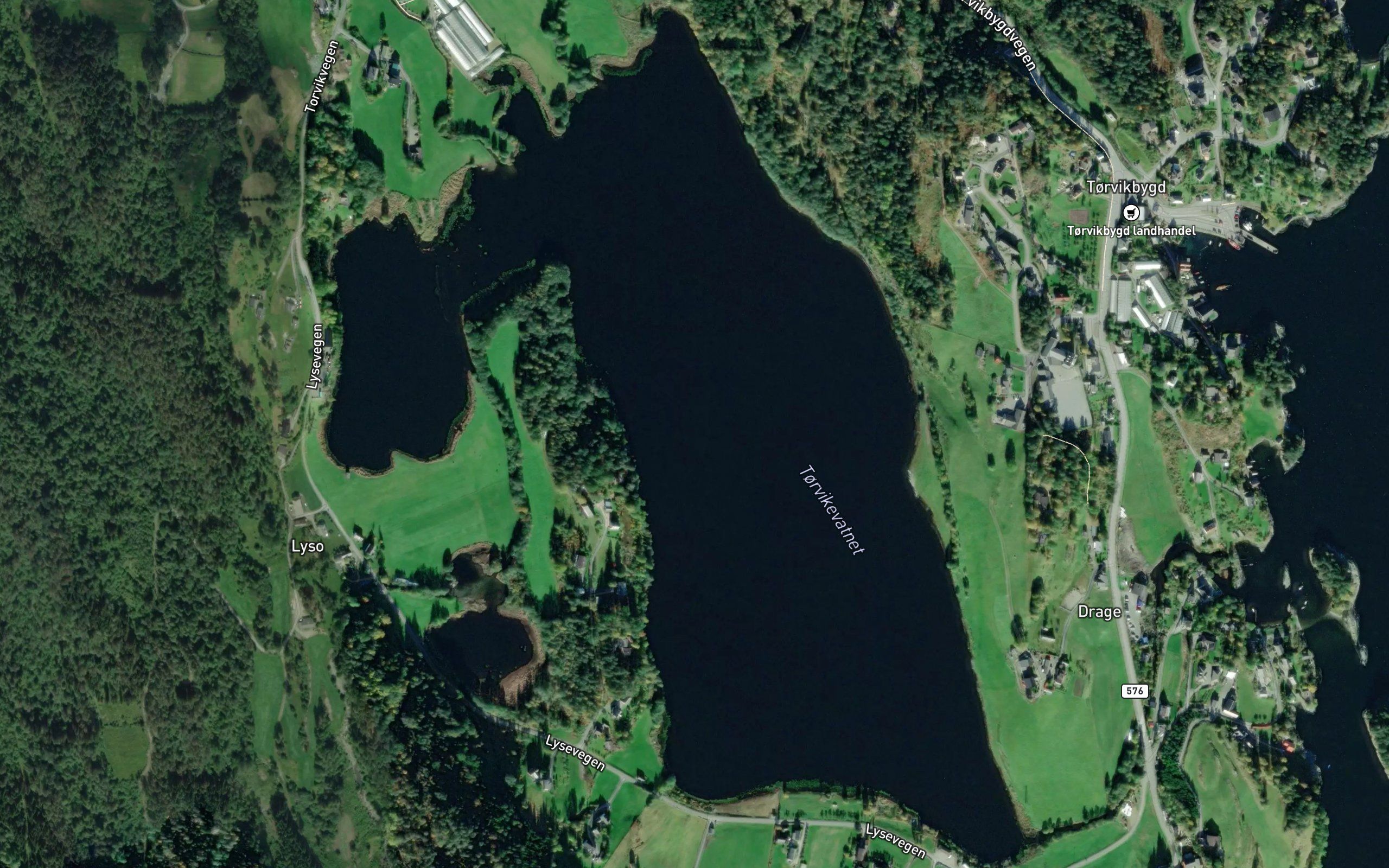 Torvikvatnet