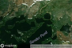 Gander Pond