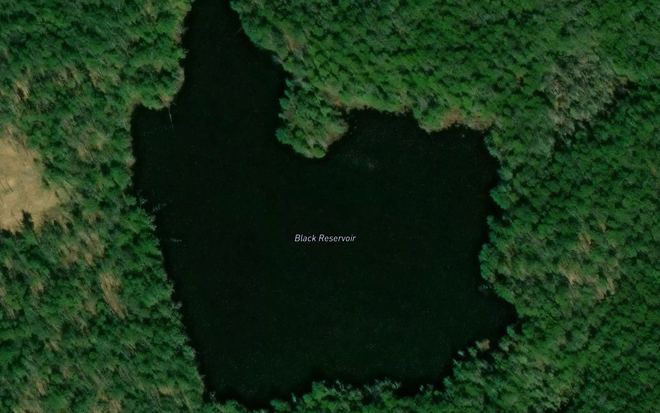 Black Reservoir