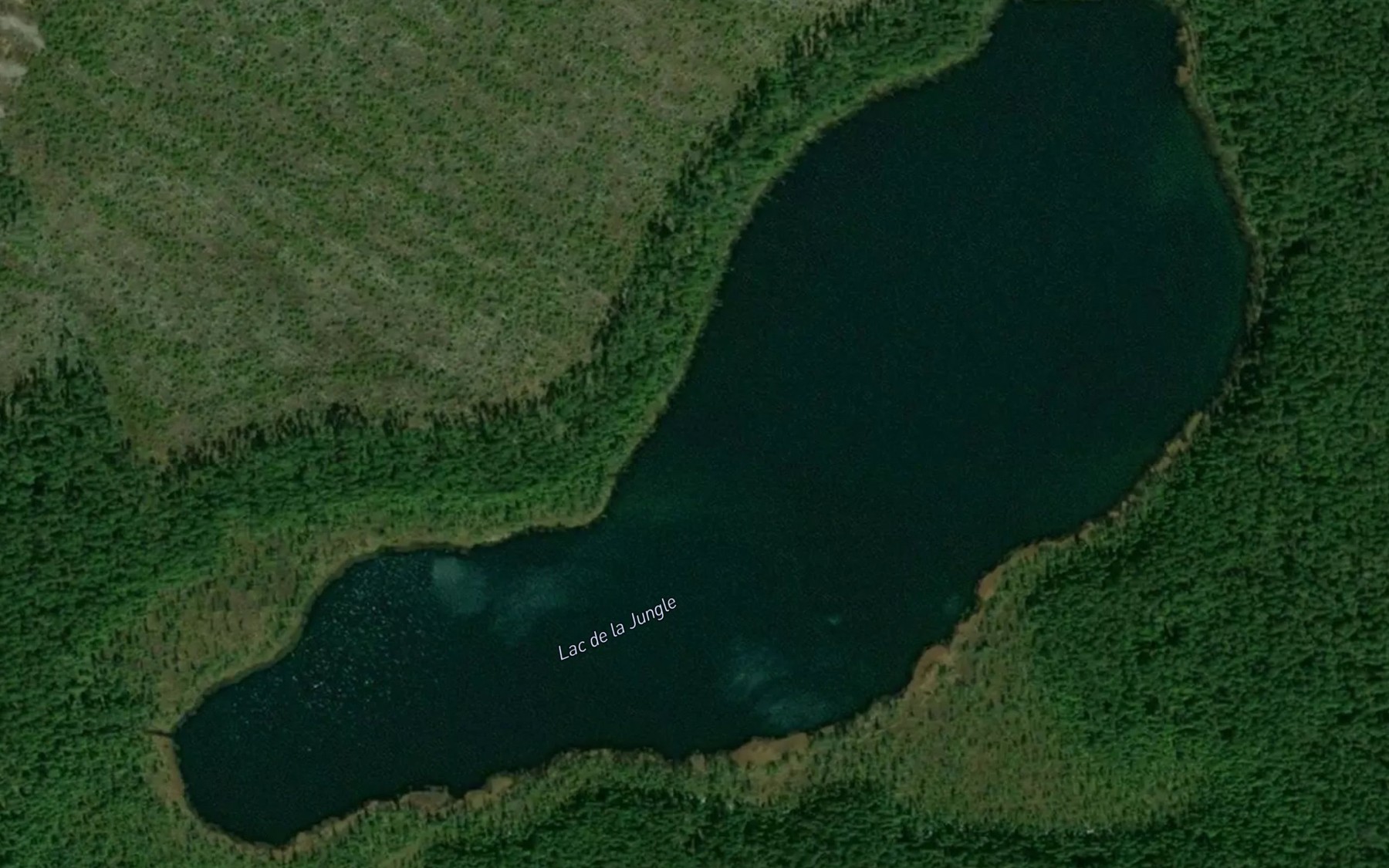 Satellite map of the Lac de la Jungle